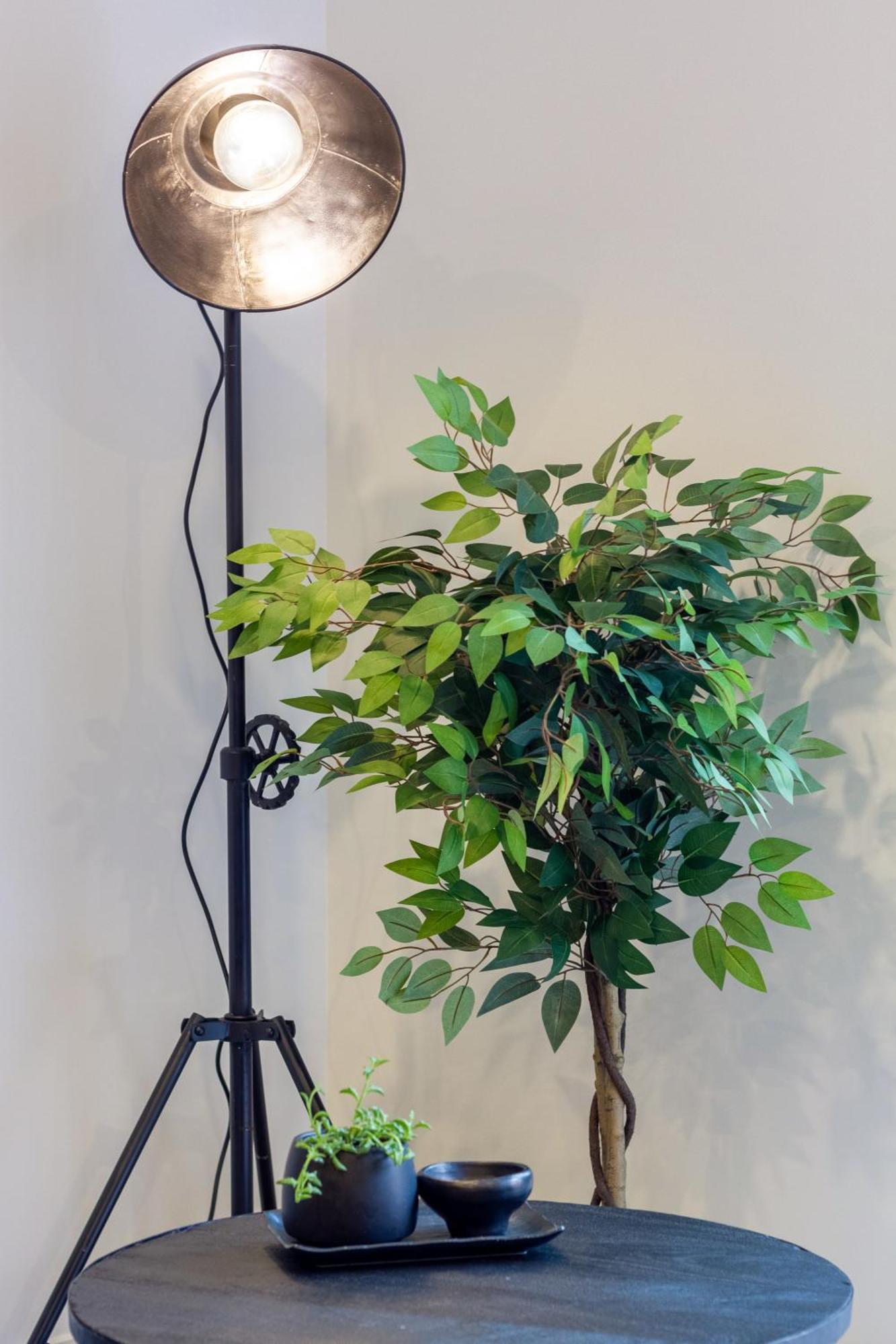 Merivale Gem: 2Br Townhouse Oasis Christchurch Exteriör bild